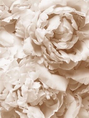 Meet your Posher, Celina